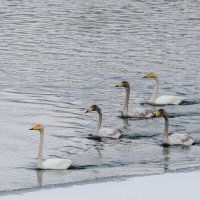 ... :: Евгений(Жора) Житников