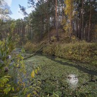 На реке Артынке. :: Андрей 