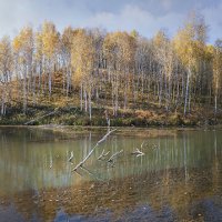 Осенняя панорама. :: Андрей 