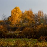 Вечер :: Денис Матвеев