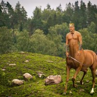 King of centaurs :: Глеб Буй