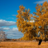 без названия :: Виталий Верхозин