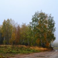 осенняя акварель :: Лариса Корсакова