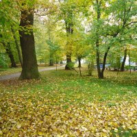 Осень-осень, лес остыл и листья сбросил.... :: Christina Batovskaya