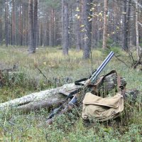 Охотничий натюрморт :: Александр Володарский