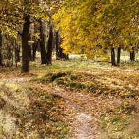 Осень :: Виталий Качанов