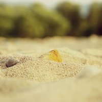 Песок на Баййкале :: Виктория Данилова