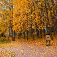 Осень в Царицыно 2 :: Руслан Кадеркаев