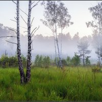 дуальность бытия :: Александр Чорный