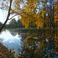 Осень в парке :: Виктория Колпакова