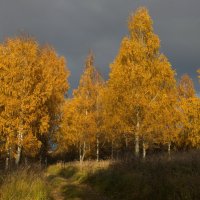 *** :: Олег Семенцов