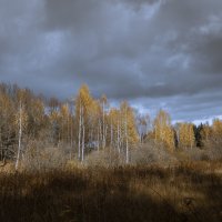 Осенний пейзаж :: Андрей Гусев