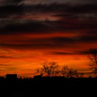 Вечернее небо столицы :: Анастасия Светлова