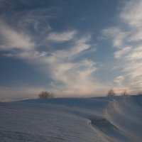 *** :: Евгений Кузнецов