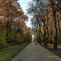 парк Воронцово .Москва, октябрь :: юрий макаров