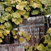 Забытые могилы. Русское кладбище Кокад. Ницца :: Владимир Нев