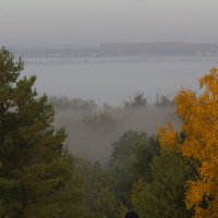 без фотошопа :: Галина Великоцкая