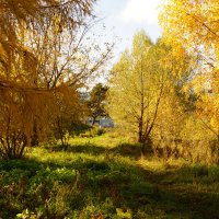 осень :: Александр Тверской