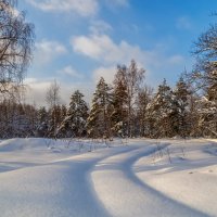 Морозное утро второго января # 11 :: Андрей Дворников