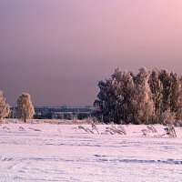 Мой край настоящих зим :: Татьяна Лютаева