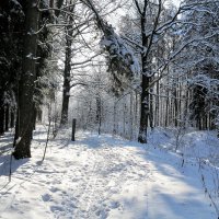 зима :: Владимир Холодницкий