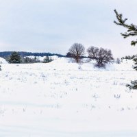 За лесом поле в снежном покрове :: Юрий Стародубцев