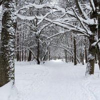 Февраль в городском парке. :: Милешкин Владимир Алексеевич 