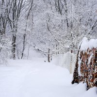 Зима... (2) :: Влад Никишин