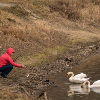 На городском водохранилище :: Игорь Сикорский