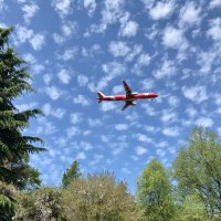 Красный самолёт в голубом небе на фоне белых облачков над зелёными деревьями :: Pippa 