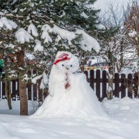 Синеглазый снеговик :: Валерий Иванович