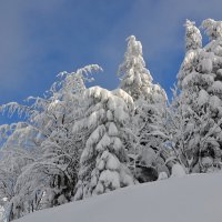 Под голубыми небесами :: tamara *****