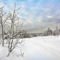В снежной бахроме :: Юрий Митенёв