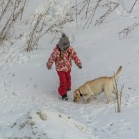 На прогулке. :: Виктор Иванович Чернюк