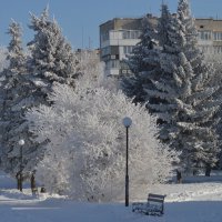 Сказочная зима в Шостке :: Анатолий Михайлович