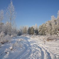 Зимняя красота. :: Вадим Басов