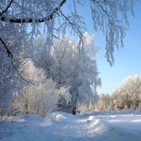 В белой тишине :: Галина Кан