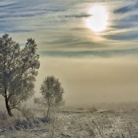 Туманное утро :: Алексей Мезенцев