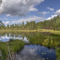 Лесное озеро :: Сергей 