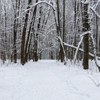 В зимнем парке. :: Милешкин Владимир Алексеевич 