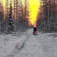 Заре на встречу.. :: Леонид Балатский