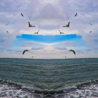 Чайки и море. :: arkadii 