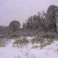 Зимний свет, когда почти контраста нет :: Петр Беляков