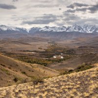 Северо-Чуйский хребет :: Виктор Четошников