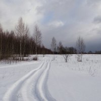 Февраль. :: Милешкин Владимир Алексеевич 