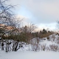Зимний пейзаж. :: Ольга Довженко