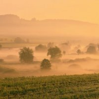 misty morning :: Elena Wymann