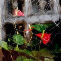 роза за окном :: Тихон Скворцов 