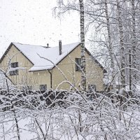 А снег идет :: оксана 