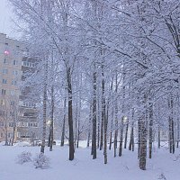Зима :: Сергей Кочнев